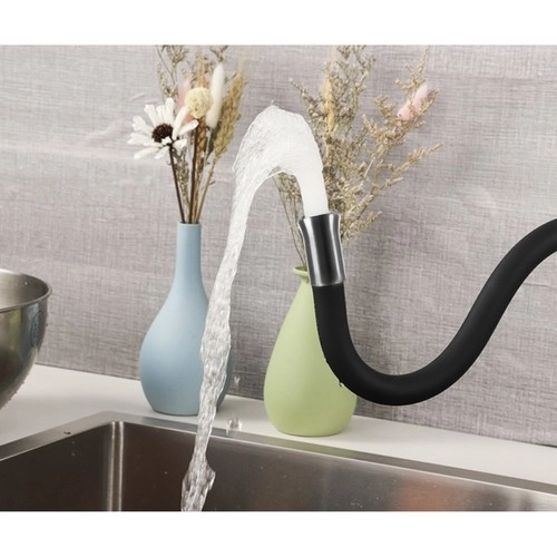 Robinet de cuisine - tuyau flexible Ruhhy 22821