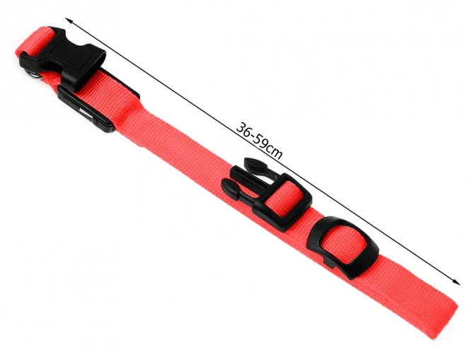 Collier lumineux LED pour animaux de compagnie