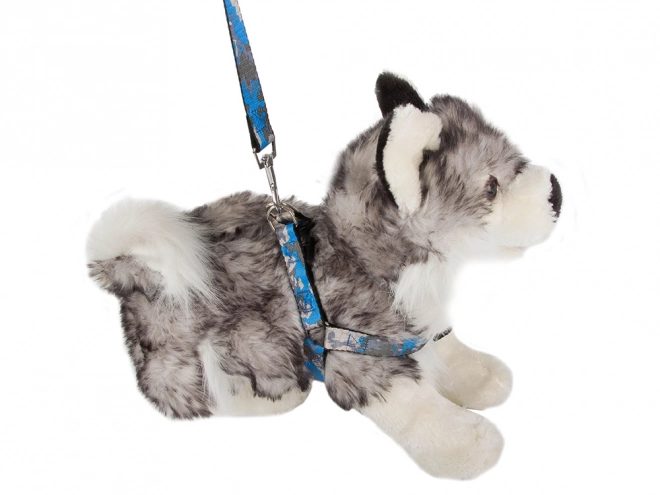 Laisse avec harnais confortable pour chiens et chats