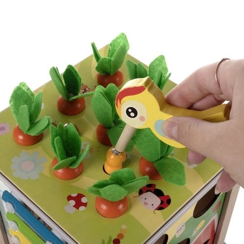 Cube éducatif en bois 5 en 1 pour enfants