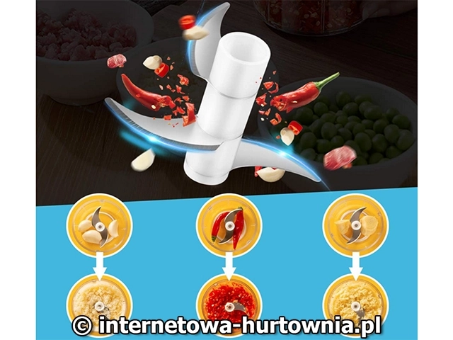 Hachoir électrique à ail et légumes