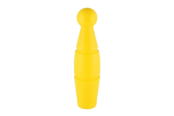 Bowling pour enfants - 9 quilles