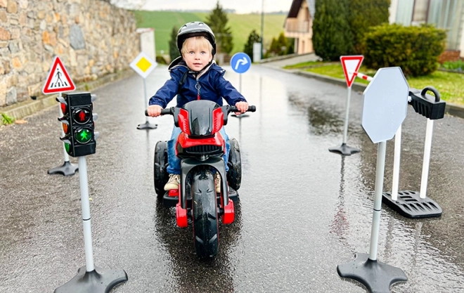 Panneaux de signalisation 81cm, 5 pièces