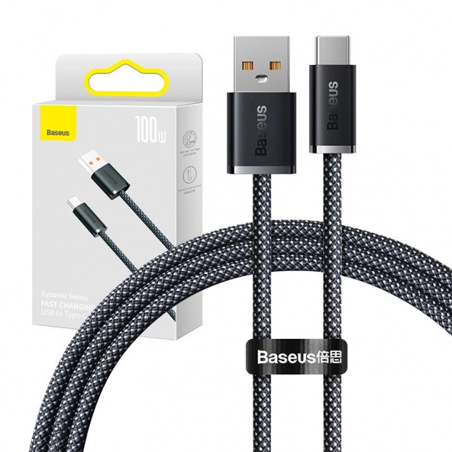 Câble USB vers USB-C Baseus série Dynamic, 100 W, 1 m (gris)