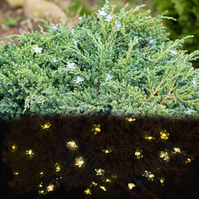 Éclairage de jardin solaire floral 7m 50LED blanc chaud