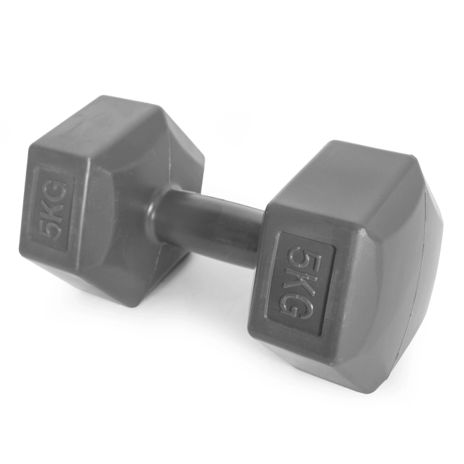 Ensemble d'haltères hexagonaux 2x5 kg gris ModernHome