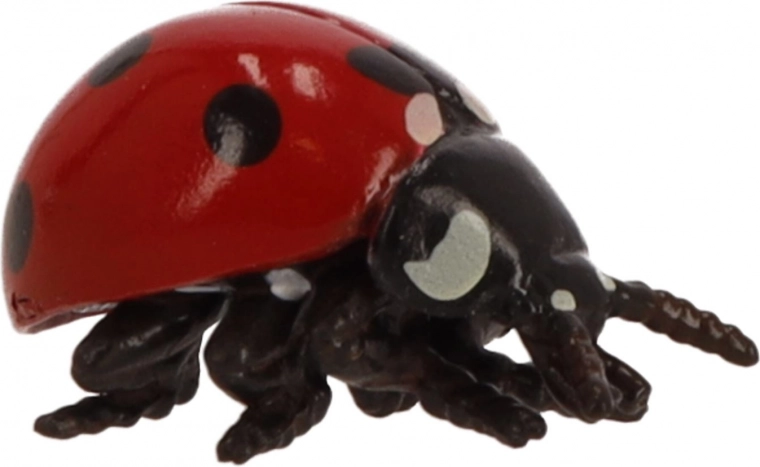 Petites dimensions, grandes possibilités de jeu