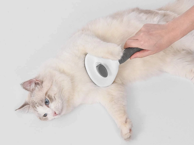 Brosse autonettoyante pour chiens et chats