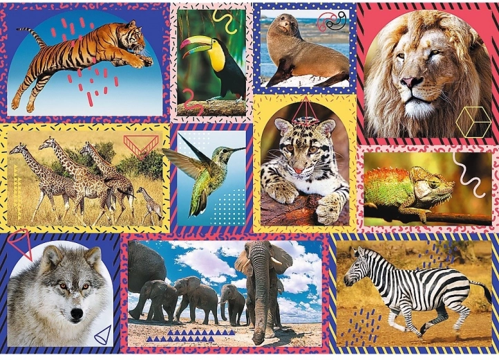 Qualité de fabrication et couleurs vives