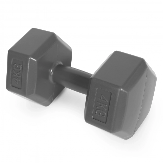 Haltères hexagonales 2x4 kg grises ModernHome