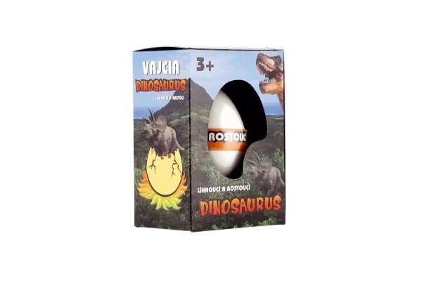 Œuf d'éclosion et de croissance dinosaure 6cm dans une boîte
