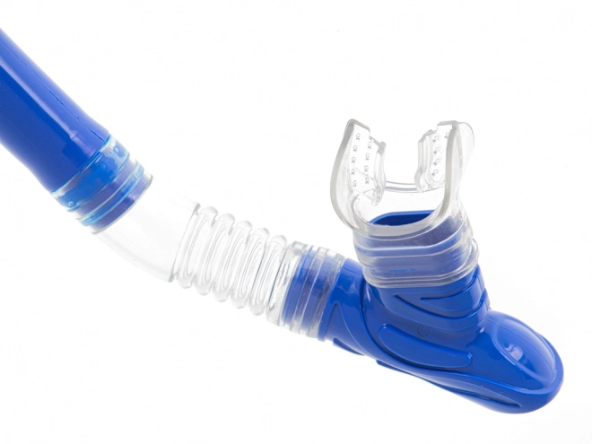 Masque de plongée pour snorkeling + ensemble de tubas