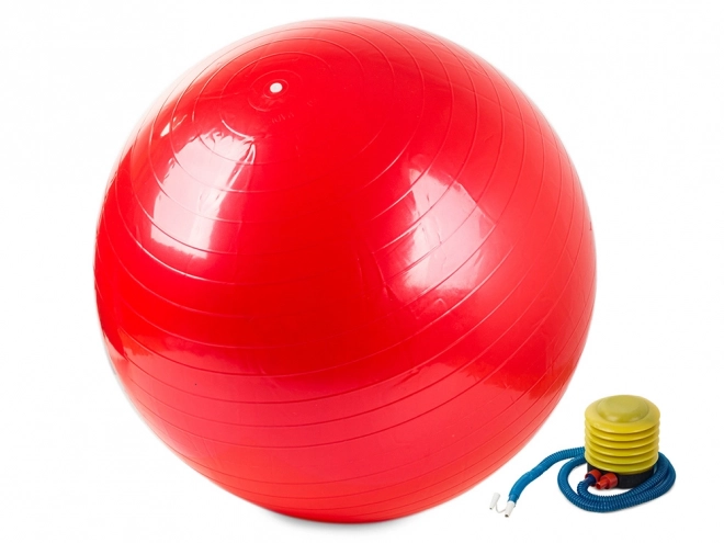 Balle de gymnastique avec pompe pour fitness et réhabilitation
