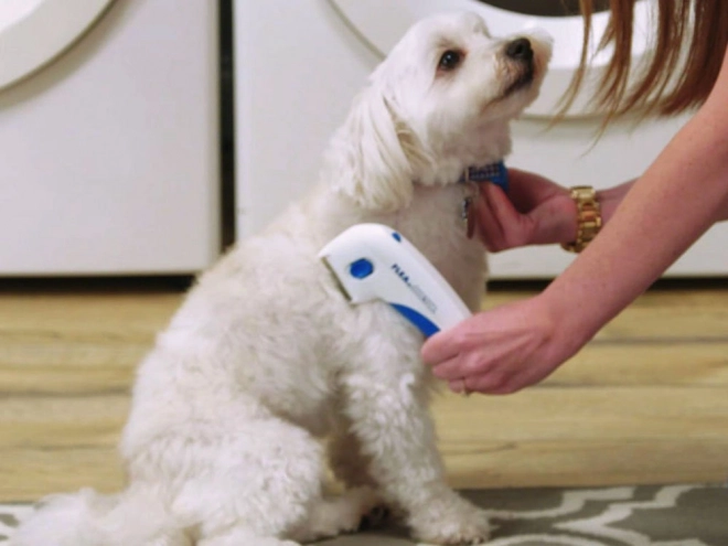 Peigne électrique anti-puces pour chiens et chats