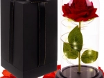 Rose éternelle lumineuse sous cloche en verre avec boîte cadeau