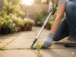 Grattoir télescopique pour mauvaises herbes 71,5–106,5 cm
