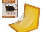 Piège collant pour souris et rats 24 × 17 cm