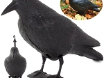Répulsif à oiseaux – statuette de corbeau réaliste XXL