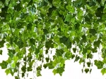 Guirlande de lierre artificiel 25,2 m