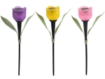 Lampe de jardin solaire tulipe à LED, assortiment de couleurs