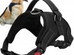 Harnais pour chien sans pression M, noir