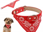 Collier avec bandana pour chiens et chats