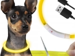 Collier LED lumineux pour chiens et chats avec charge USB et réglage de la longueur