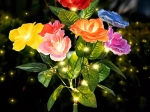 Lumière de jardin solaire en forme de rose – lot de 2 pièces