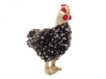 Poule en peluche avec œuf 35 cm