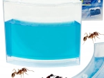 Aquarium éducatif à fourmis en gel