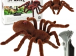 araignée tarentule de course télécommandée avec yeux clignotants