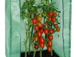 Serre de jardin en film 100 × 50 × 150 cm