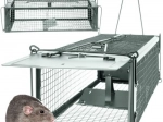 Piège vivant pour rongeurs avec fermeture automatique