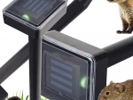 Répulsif solaire ultrasonique pour taupes et rongeurs 1000 m²