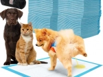 Alèses hygiéniques jetables pour animaux de compagnie