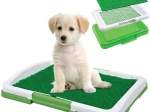 Herbe d'apprentissage aux toilettes pour chiots - 34 x 47 x 6 cm