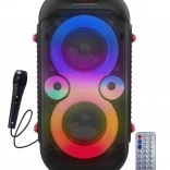 Enceinte Bluetooth portable avec éclairage LED pour karaoké