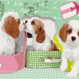 Peignez-le! Peinture par numéros: Chiots mignons