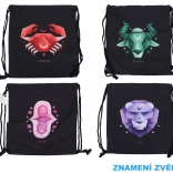 Sac pour chaussons Zodiac noir