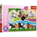 Puzzle 200 pièces beaux chevaux TREFL