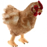 Poule en peluche