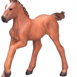 Mojo Poulain arabe bai clair