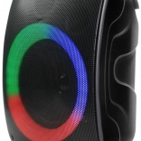 Haut-parleur Bluetooth Stage 300