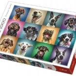 Puzzle portraits de chiens amusants – 1000 pièces