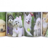 Tirelire en métal avec chiens et chats