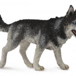 Collecta husky de Sibérie – figurine