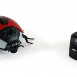Coccinelle Magana télécommandée