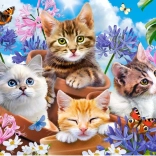 Puzzle 500 pièces Chatons avec des fleurs