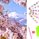 Kit de peinture au diamant avec motif de fleur de cerisier