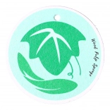 Éponge vaisselle naturelle - verte